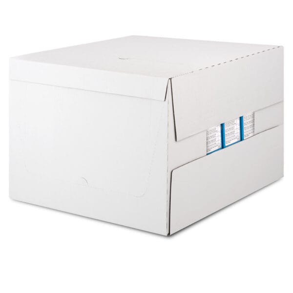 RADPACK Wrap Around Case Packer