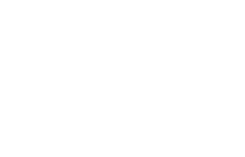 PPi Technologies Group